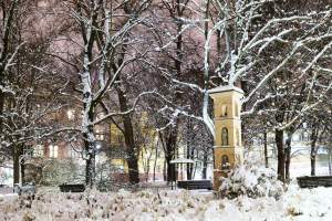Z cyklu "nasz piękny Kraków". Na pewno rozpoznajecie ten park...
