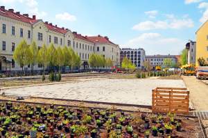 Wywalczony przez mieszkańców park nabiera realnych kształtów, będzie pięknie!