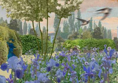 Znikną słoneczniki, pojawi się strumyk i sad. Nowe prace w parku przy Karmelickiej