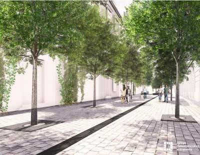 Będą drzewa na Krupniczej, ale dopiero po modernizacji sieci ciepłowniczej