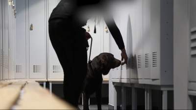 Policja w dużym zakładzie pod Krakowem, pies wyczuł narkotyki