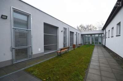 W krakowskim schronisku dla zwierząt brakuje środków czystości, apel opiekunów