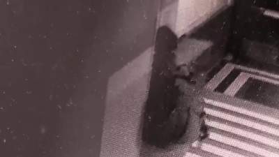 Nieznany sprawca zaatakował drzwi siedziby PiS w Krakowie