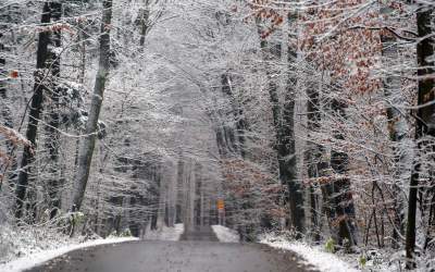 Nadciąga potężny atak zimy. Służby miejskie zapewniają, że są przygotowane