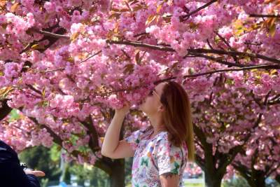 Kraków odpada z walki o tytuł Zielonej Stolicy Europy. To było trzecie podejście