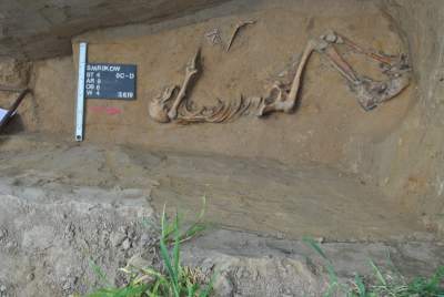 Szczątki czerwonoarmisty, odkryte przed budową S7, będą uroczyście pochowane