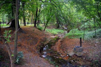 "Awaria" w Parku Jerzmanowskich, korzystanie z mostku może być niebezpieczne