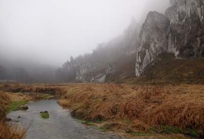Czy Dolina Prądnika zostanie zalana? Niestety są takie plany...