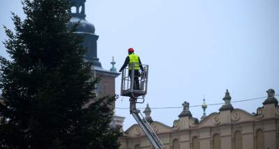 Największa choinka w mieście już stoi: bogata, ale oszczędna iluminacja