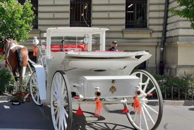 Dorożkarz stracił licencję. To konsekwencja groźnego incydentu