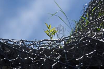 Zakrzówek w budowie... - zdjęcie 17