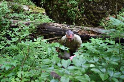 Nowy rezerwat niedaleko Krakowa: Góra Stołowa - zdjęcie 1