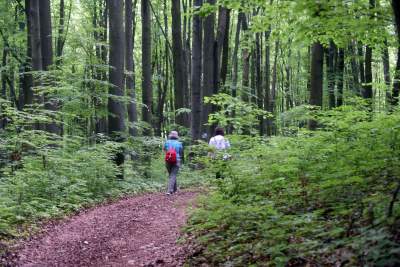 Nowy rezerwat niedaleko Krakowa: Góra Stołowa - zdjęcie 29
