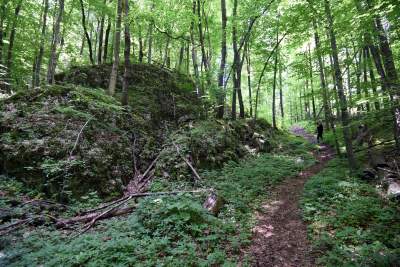 Nowy rezerwat niedaleko Krakowa: Góra Stołowa - zdjęcie 13