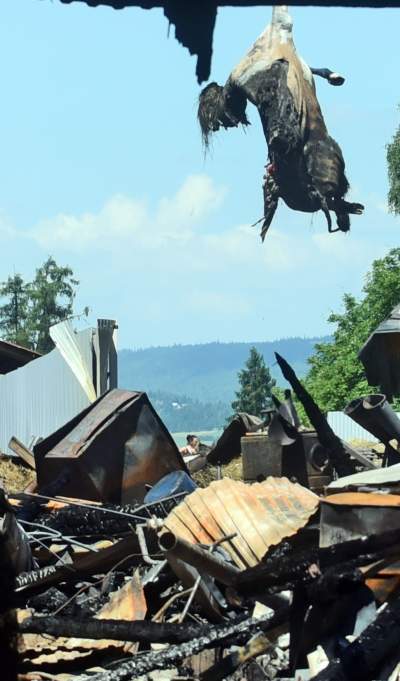Koszmarny obraz zniszczeń po pożarze na Spiszu. Fot. Marek Lasyk - zdjęcie 5