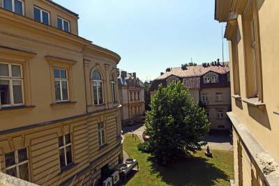 Wesoła, czerwiec 2021. Fot. Marek Lasyk - zdjęcie 10