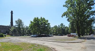 Wesoła, czerwiec 2021. Fot. Marek Lasyk - zdjęcie 29