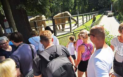 Baby i Citta świętowały w krakowskim ZOO. Uwięzione, ale szczęśliwe? - zdjęcie 13