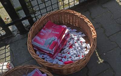 Baby i Citta świętowały w krakowskim ZOO. Uwięzione, ale szczęśliwe? - zdjęcie 11