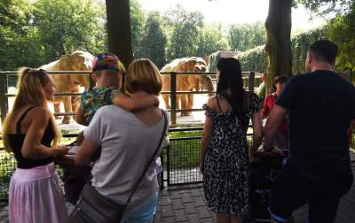 Baby i Citta świętowały w krakowskim ZOO. Uwięzione, ale szczęśliwe? - zdjęcie 1