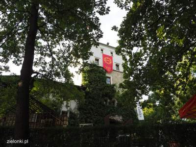 Juromania na zamku w Korzkwi i w Muzeum Hebla - zdjęcie 20