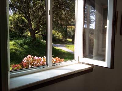 Juromania na zamku w Korzkwi i w Muzeum Hebla - zdjęcie 7