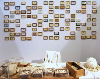 Wszystko jest sztuką, nawet... rozpad. Intrygująca wystawa - zdjęcie 20