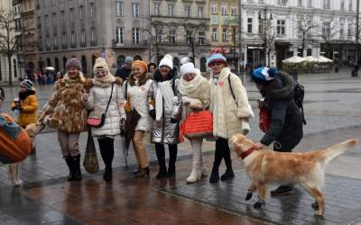 Oni nie narzekali na pogodę. 30. Finał WOŚP w Krakowie - zdjęcie 14