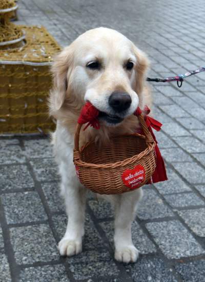 Oni nie narzekali na pogodę. 30. Finał WOŚP w Krakowie - zdjęcie 12