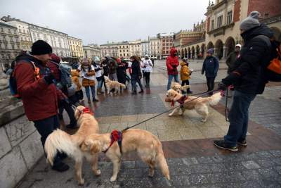 Oni nie narzekali na pogodę. 30. Finał WOŚP w Krakowie - zdjęcie 11