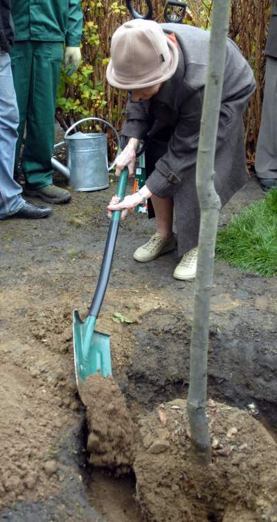 "Moja Szymborska". Noblistka w obiektywie, miała do siebie dystans - zdjęcie 5