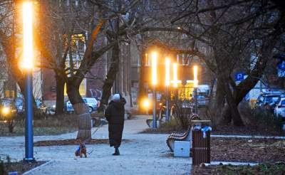 Plac Biskupi po modernizacji. Wiosną będzie tu pięknie - zdjęcie 23