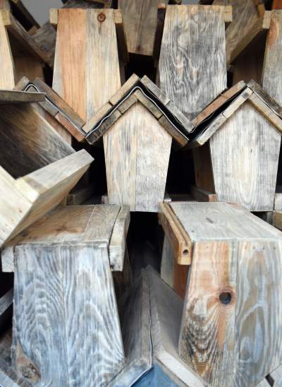 Walentynki po krakowsku! 1000 budek lęgowych dla ptaków, fot. Marek Lasyk - zdjęcie 8