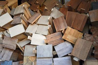 Walentynki po krakowsku! 1000 budek lęgowych dla ptaków, fot. Marek Lasyk - zdjęcie 9