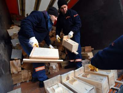 Walentynki po krakowsku! 1000 budek lęgowych dla ptaków, fot. Marek Lasyk - zdjęcie 11