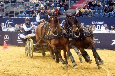 Mistrzowie powożenia. Rewelacyjne widowisko w Tauron Arenie - zdjęcie 18