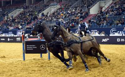 Mistrzowie powożenia. Rewelacyjne widowisko w Tauron Arenie - zdjęcie 31