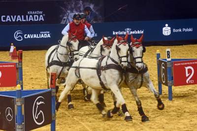 Mistrzowie powożenia. Rewelacyjne widowisko w Tauron Arenie - zdjęcie 3