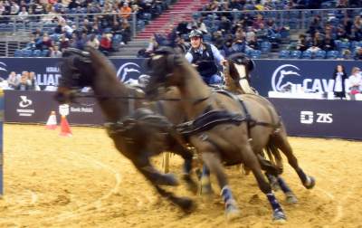 Mistrzowie powożenia. Rewelacyjne widowisko w Tauron Arenie - zdjęcie 23