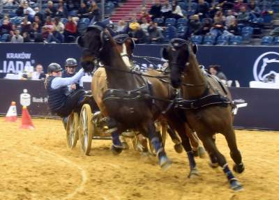 Mistrzowie powożenia. Rewelacyjne widowisko w Tauron Arenie - zdjęcie 24