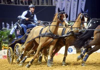 Mistrzowie powożenia. Rewelacyjne widowisko w Tauron Arenie - zdjęcie 27