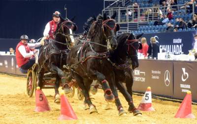 Mistrzowie powożenia. Rewelacyjne widowisko w Tauron Arenie - zdjęcie 15