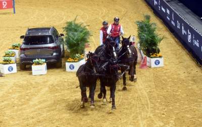 Mistrzowie powożenia. Rewelacyjne widowisko w Tauron Arenie - zdjęcie 8