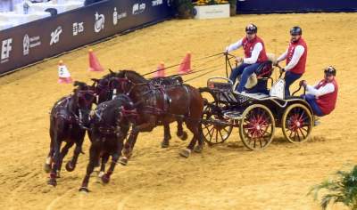 Mistrzowie powożenia. Rewelacyjne widowisko w Tauron Arenie - zdjęcie 6