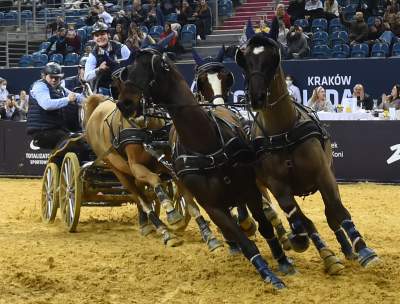 Mistrzowie powożenia. Rewelacyjne widowisko w Tauron Arenie - zdjęcie 30