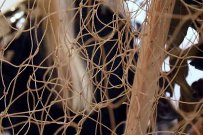 Robią siatki maskujące dla ukraińskiego wojska, potrzeba rąk do pracy - zdjęcie 20