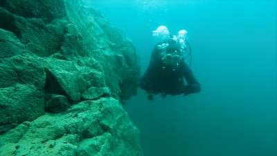 Zakrzówek: wreszcie powstanie tu miejski park - zdjęcie 7