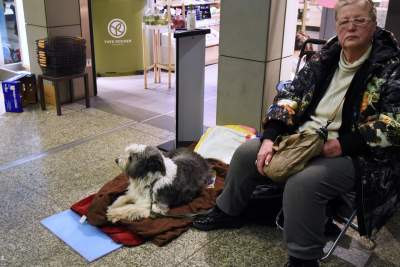 One też uciekają przed wojną. Sceny z krakowskiego dworca - zdjęcie 6