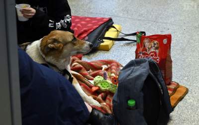 One też uciekają przed wojną. Sceny z krakowskiego dworca - zdjęcie 1