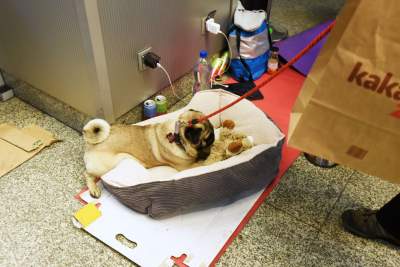 One też uciekają przed wojną. Sceny z krakowskiego dworca - zdjęcie 8